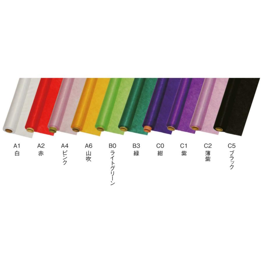 ラッピングロール サテニーロール 720mm×10m巻 B3 緑 5本 DF0505