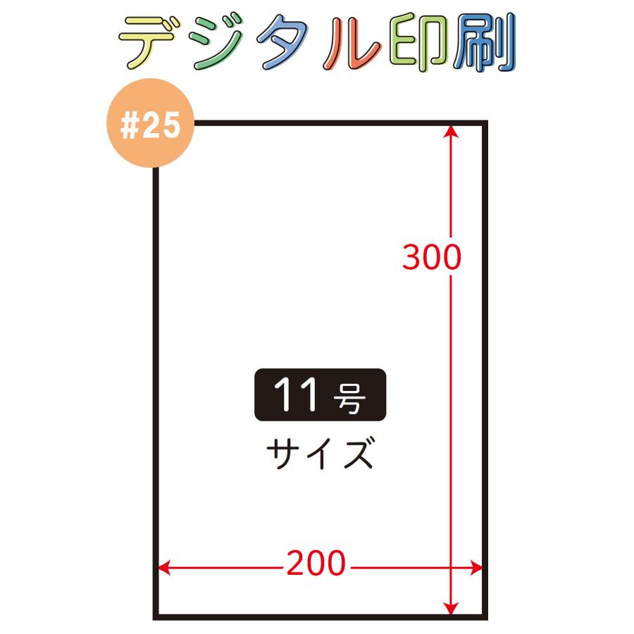 信和 【別注デジタル印刷】ハイパーボードン #25 No.11 11号 4穴/穴無