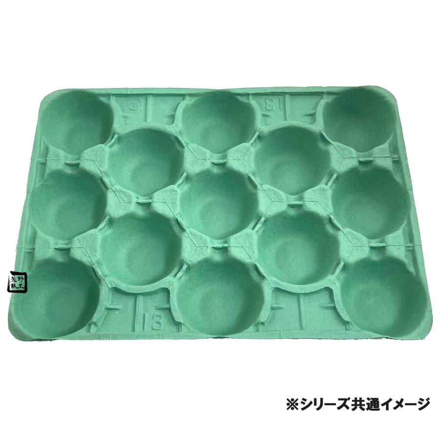 モウルドトレイ Kトレイ 11H 緑 468×338mm 1ケース50枚入 033561 日本