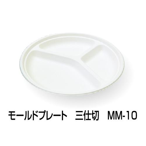 [今季注目 ] MA9YQW57J3Y (MA9YQW57J3Y)