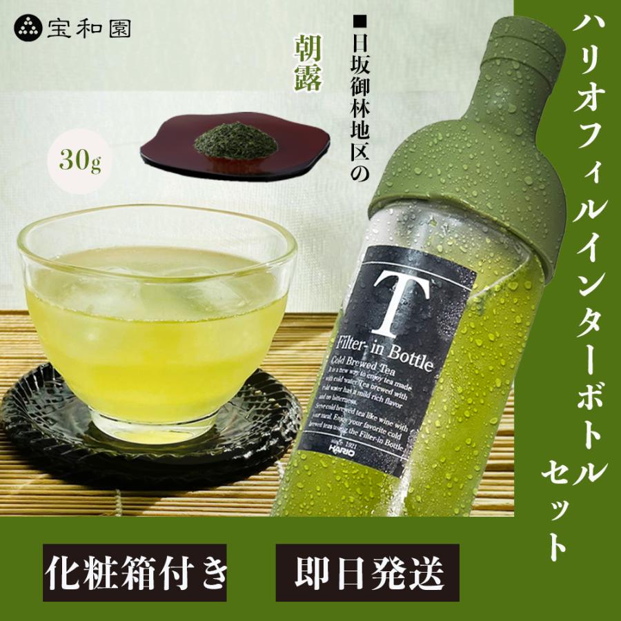 HARIO（ハリオ） 水出し茶セット フィルターインボトル 750ml 静岡茶