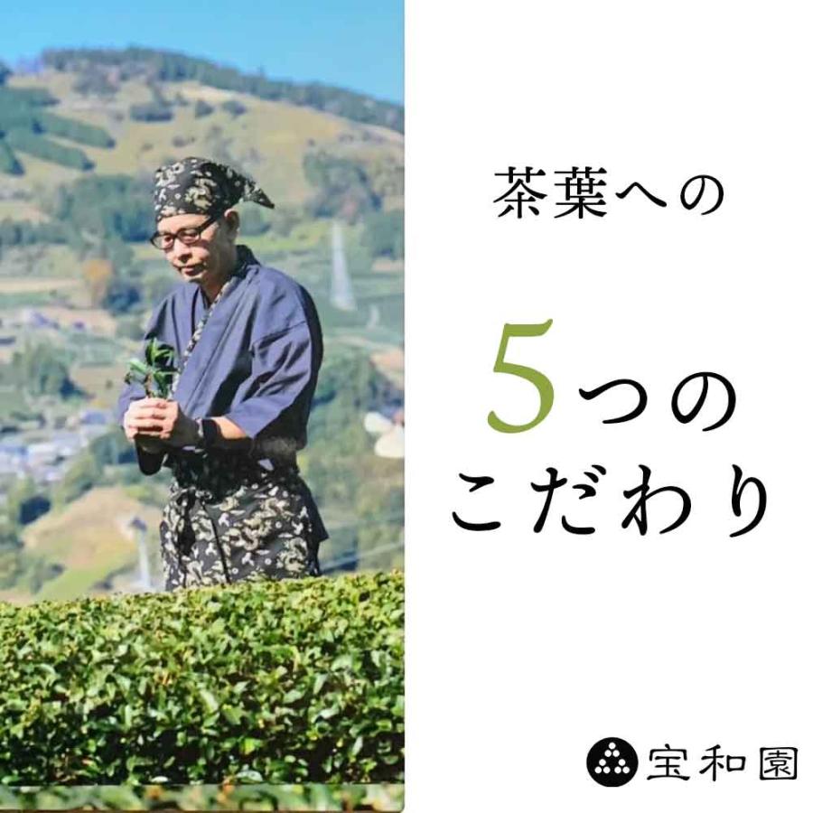 HARIO（ハリオ） 水出し茶セット フィルターインボトル 750ml 静岡茶