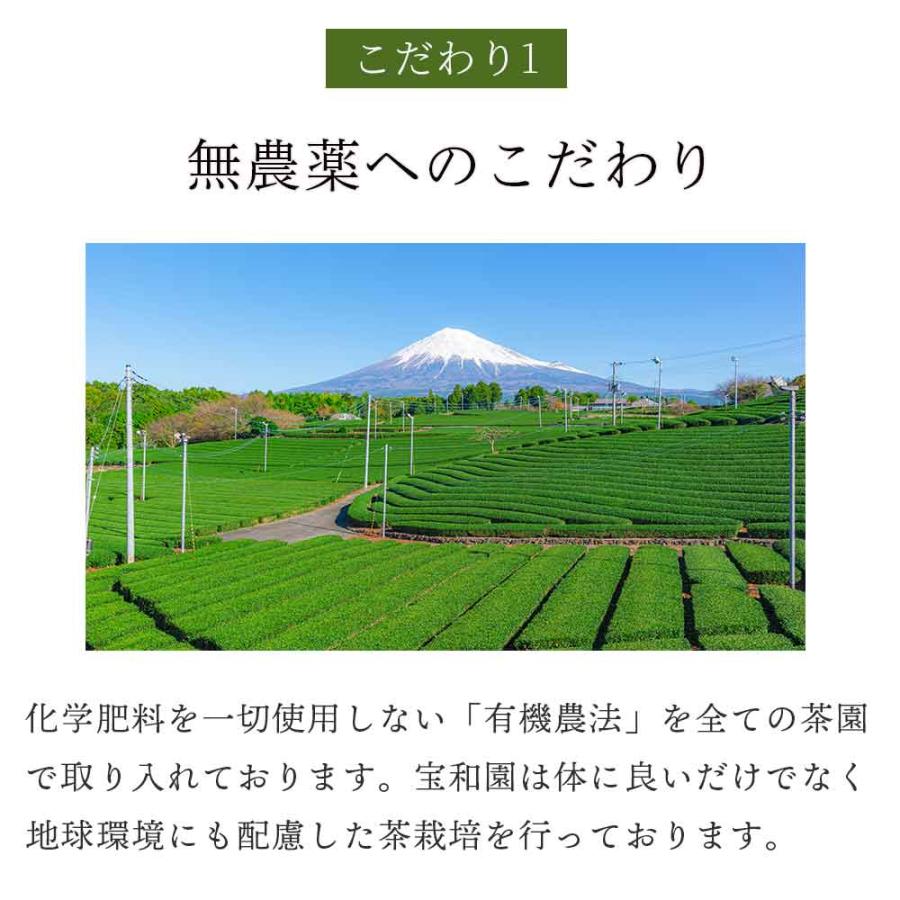 有機宇治抹茶 シェイカーセット 抹茶 レシピBOOK付き オーガニック