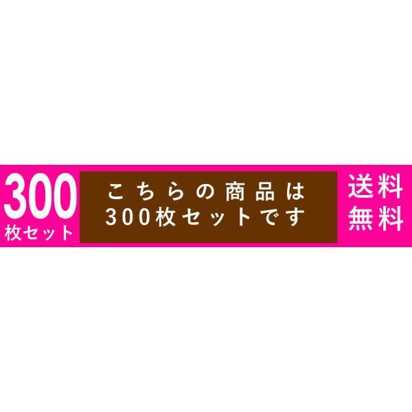 メルカリ便対応 A6 ダンボール箱 外寸165×123×28mm 300枚セット 梱包資材 梱包材 梱包箱 箱 定形外郵便 メルカリ メルカリ便｜howay｜03