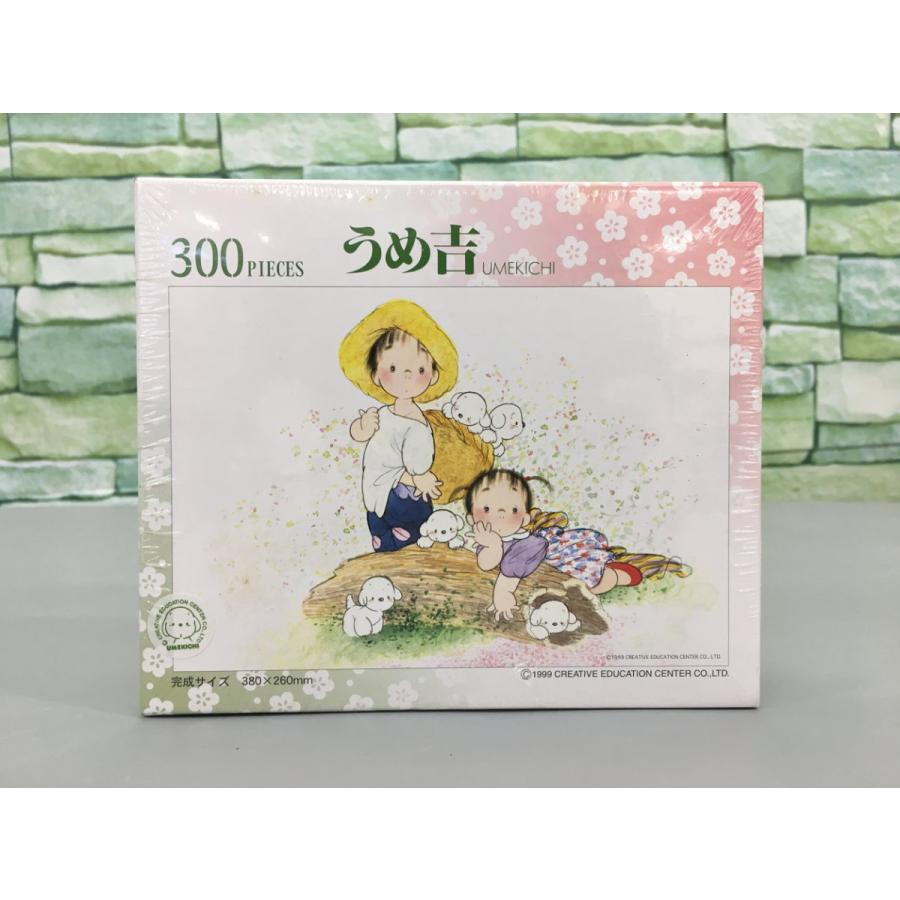 玩具 ジグソーパズル アポロ社 うめ吉 風詩 2014ピース 花もよう 300