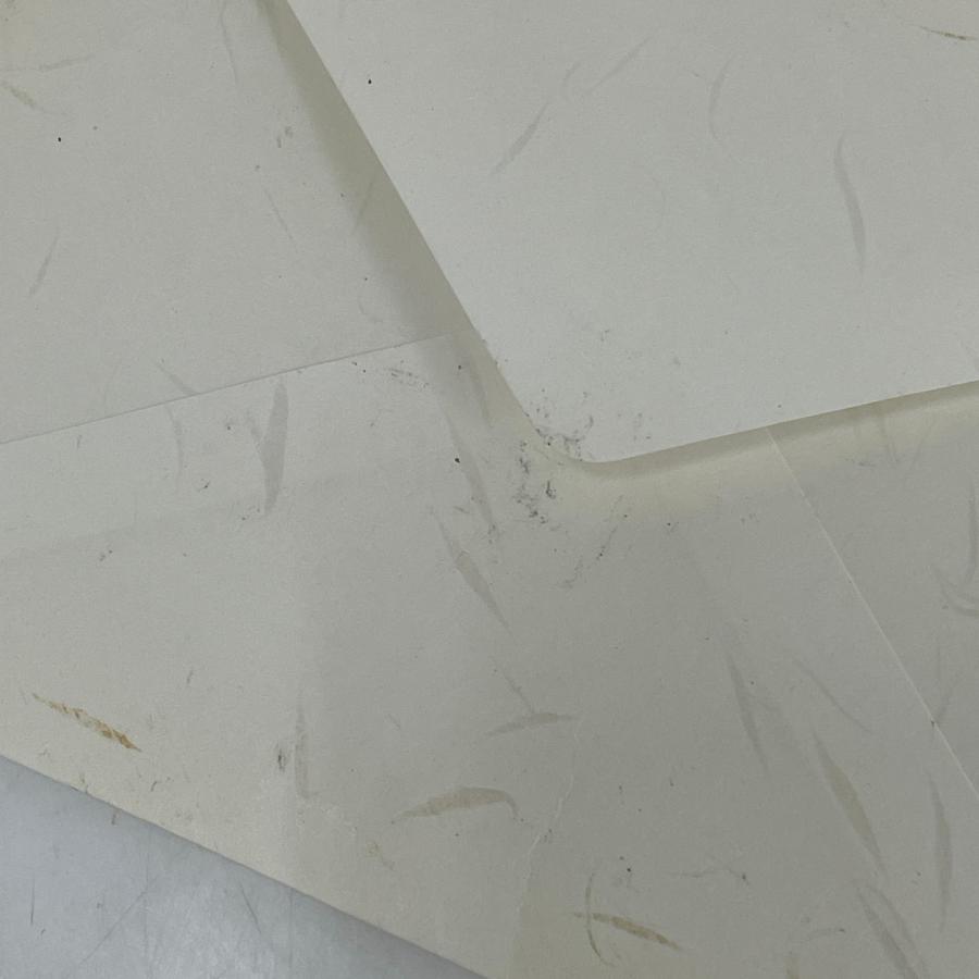 タヒチパール ネックレス 黒蝶真珠 シルバー留め具 |  | 10