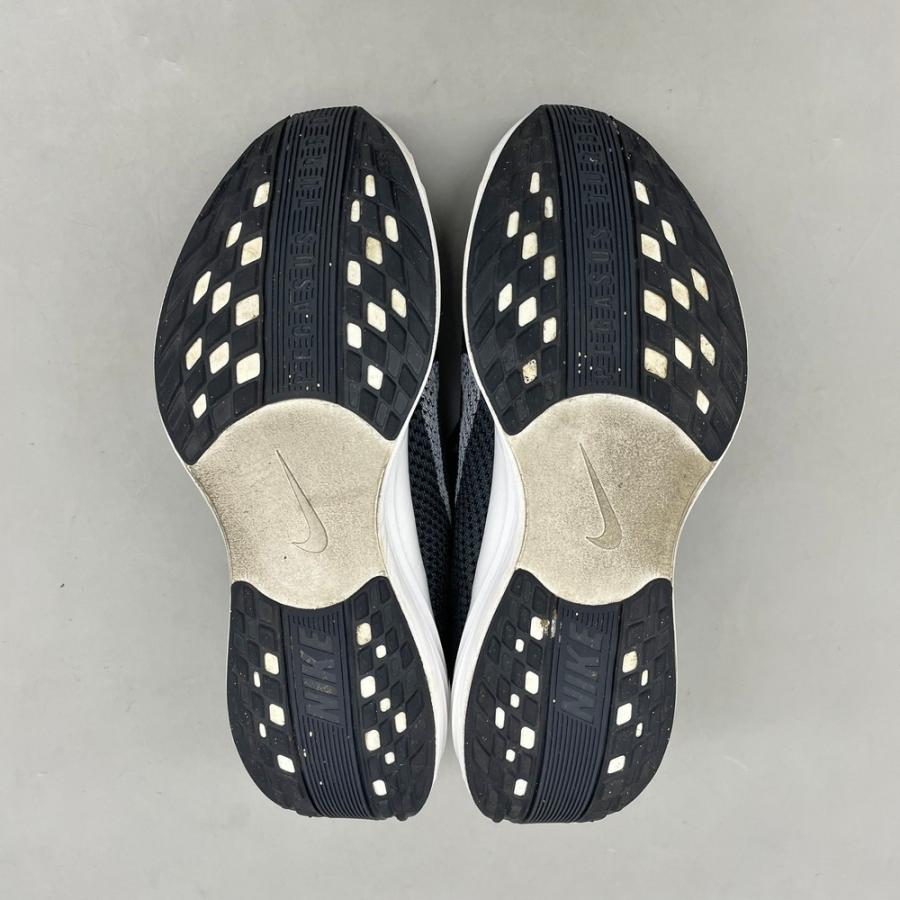 Pegasus Plus ペガサス プラス NIKE ナイキ US10 28cm ブラック FQ7262