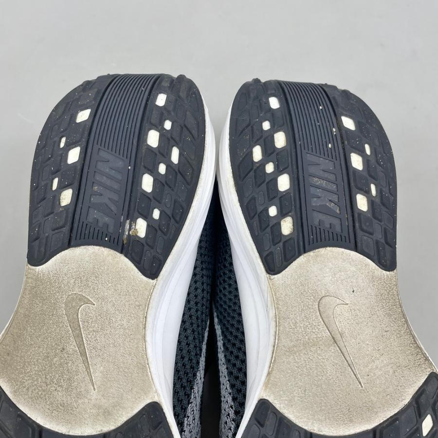 Pegasus Plus ペガサス プラス NIKE ナイキ US10 28cm ブラック FQ7262