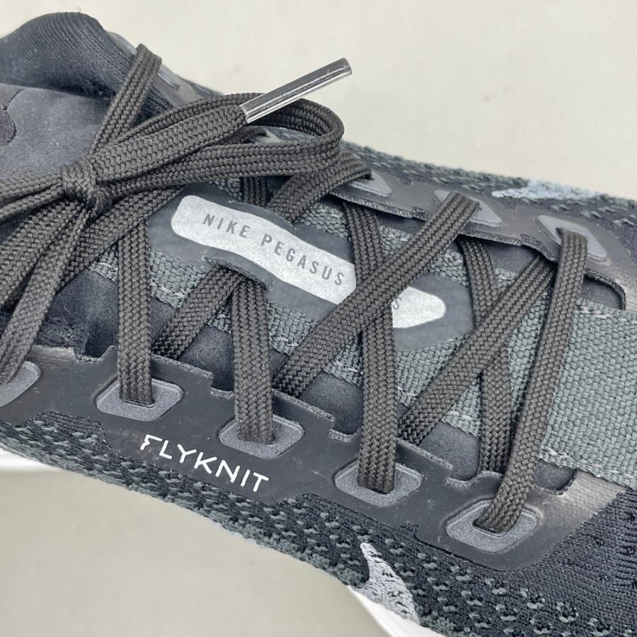 Pegasus Plus ペガサス プラス NIKE ナイキ US10 28cm ブラック FQ7262
