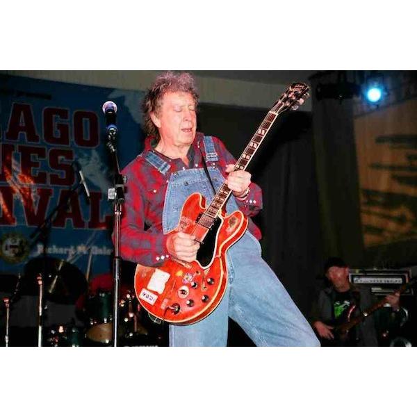 エルヴィン・ビショップ/ライブ・イン・コンサート/ザッツ・マイ・シング エルヴィン・ビショップ Elvin Bishop / ザッツ・マイ・シング