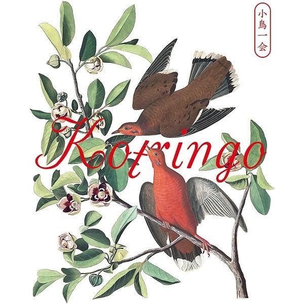 コトリンゴ Kotringo / 小鳥一会「小鳥観察 kotringo Best」発売記念ライブ：DVD | 