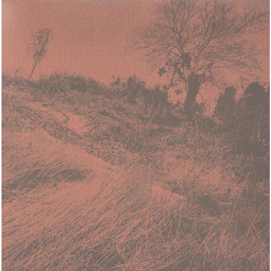 ザ・ディラン II / きのうの思い出に別れをつげるんだもの