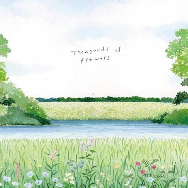 須貝知世 / Thousands of Flowers｜hoyhoy-records