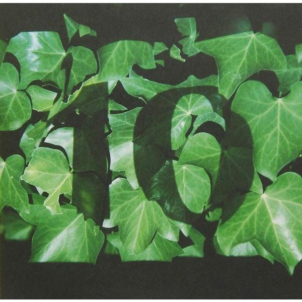 ザ・なつやすみバンド / 映像 | 