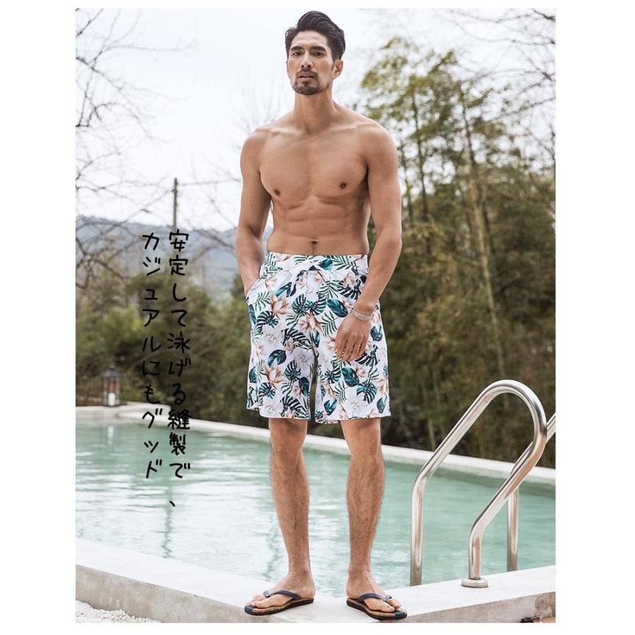 メキシコ産　美麗カミキリ　ペア　38-41mm p5802-p-re-01.jpg