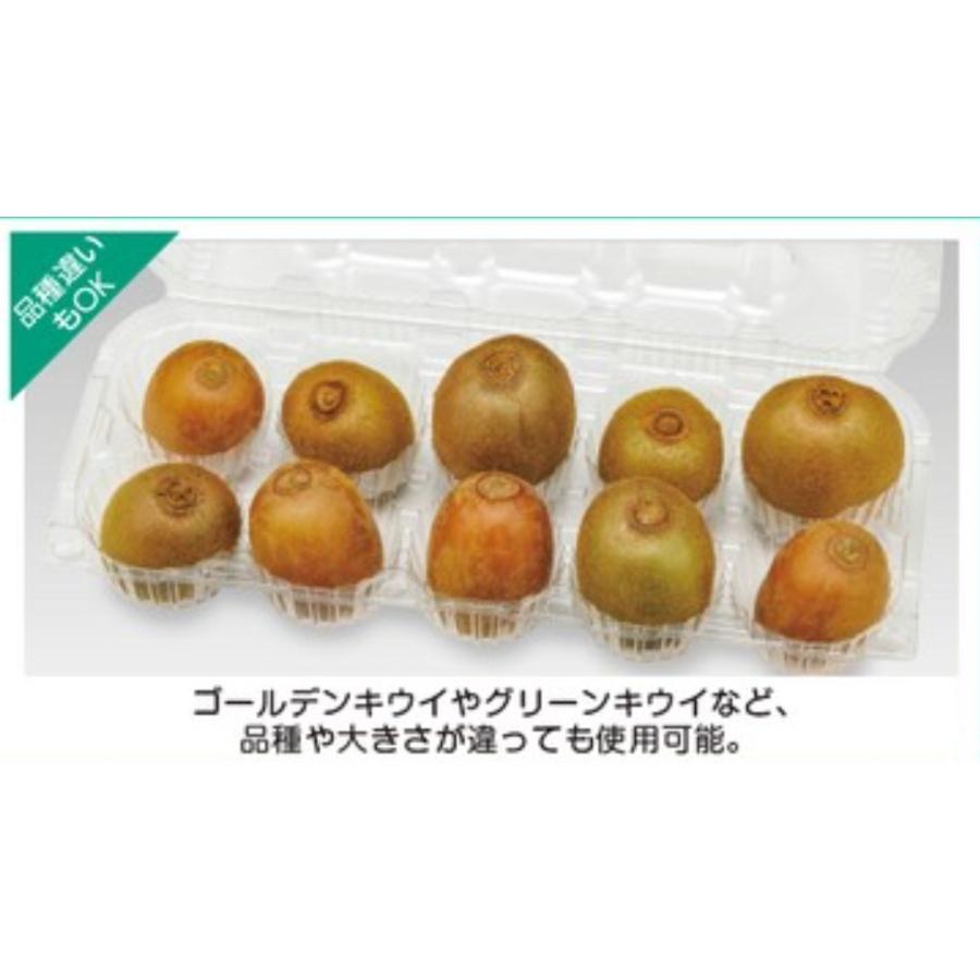 きうぃ 新フロントライト『キーウィ』シリーズを発表！ 予約販売で送料