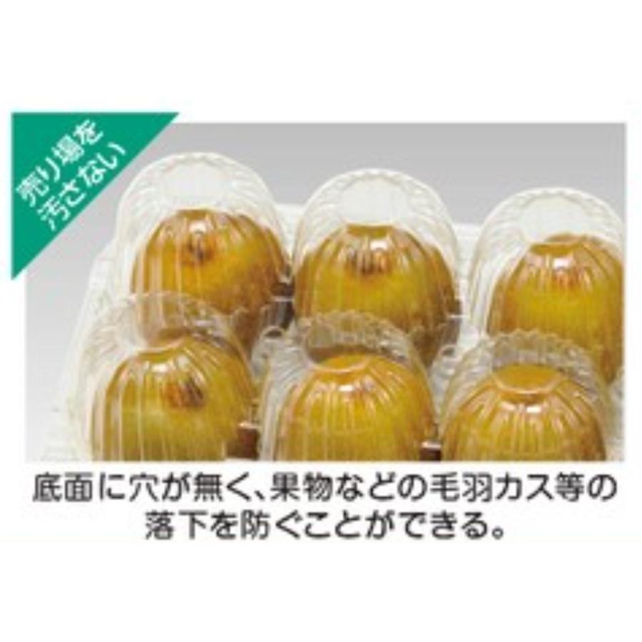 キウイ 6個用容器【エフピコチューパ】NZW 6P 21-14(94) AP
