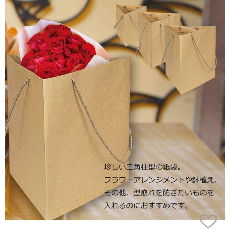 紙袋 三角トライバック【HEIKO】未晒 No.3 一辺の幅350x高さ 紙袋 三角トライバック【HEIKO】未晒 No.3 一辺の幅350x高さ