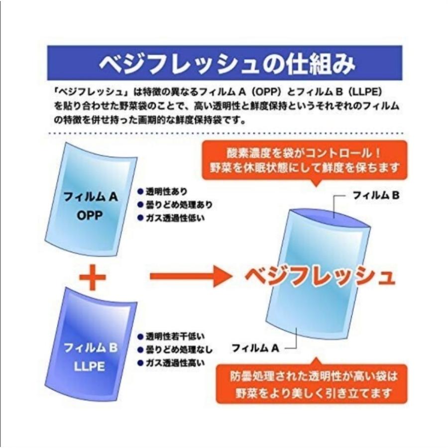 青果鮮度保持袋貯蔵・流通用大袋【ホリックス】ベジフレッシュ 大袋 L#15 ダイレクト印字1色 15/25x900x800 プラマーク付 ...