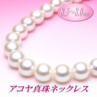 anh50031