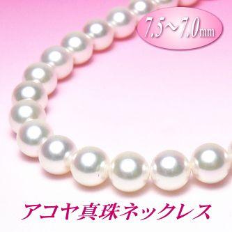 anh50035