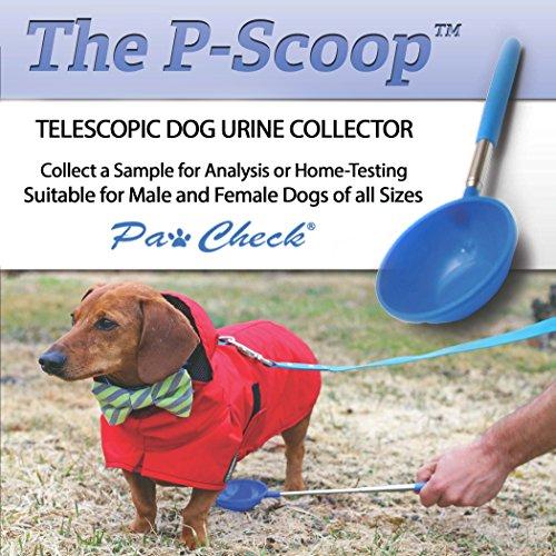 安いそれに目立つ The P-Scoop Urine Collector 犬用楽ちん採尿カップ 並行輸入