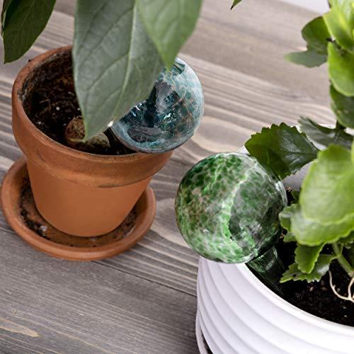 ［即日発送］ Besti 大型 自動水やり グローブ 植物用 6個パック 水 緑 最大2週間 ハンズフリー | 丈夫 マルチカラー ガラス 職人技 | 並行輸入 【1968342037】(10063円)