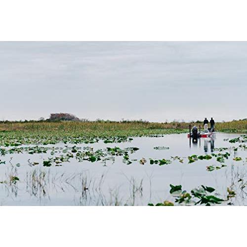 アブガルシアAbu Garcia スピニングリール Zata グリーン 並行輸入 グリーン