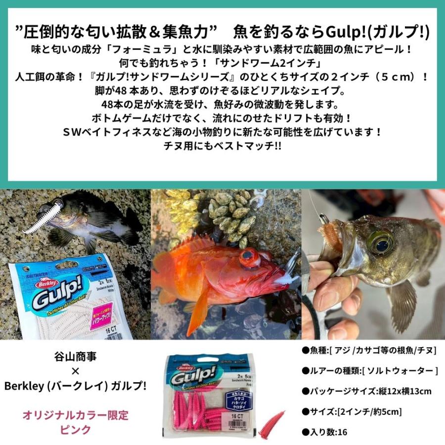 Gulp! バークレイ Berkley ガルプ！ソルトウォーター サンド