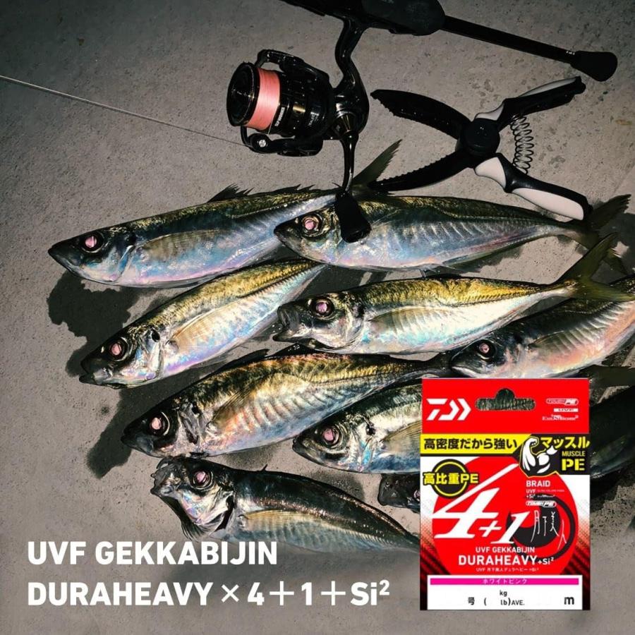 DAIWA（ダイワ） 釣具 高比重PEライン 月下美人デュラヘビ-X4+1 0.3号