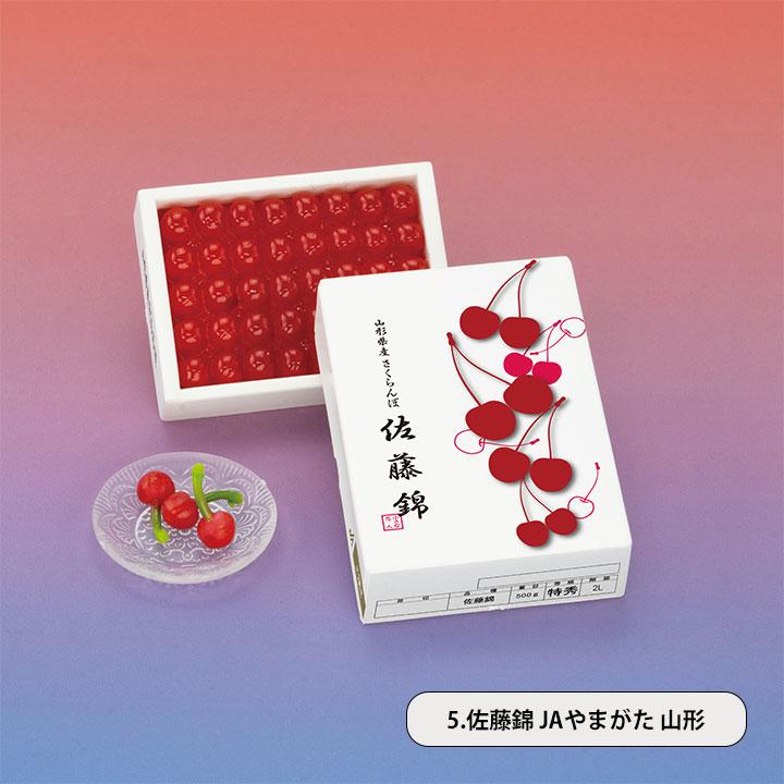 ケンエレファント 【全種類揃います】ケンエレファント プレミアム