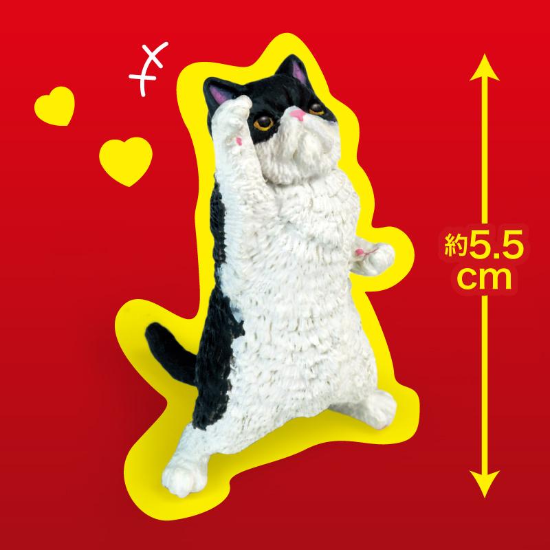 YELL 全種類揃います エール NYAoooo！！ 全5種アソート