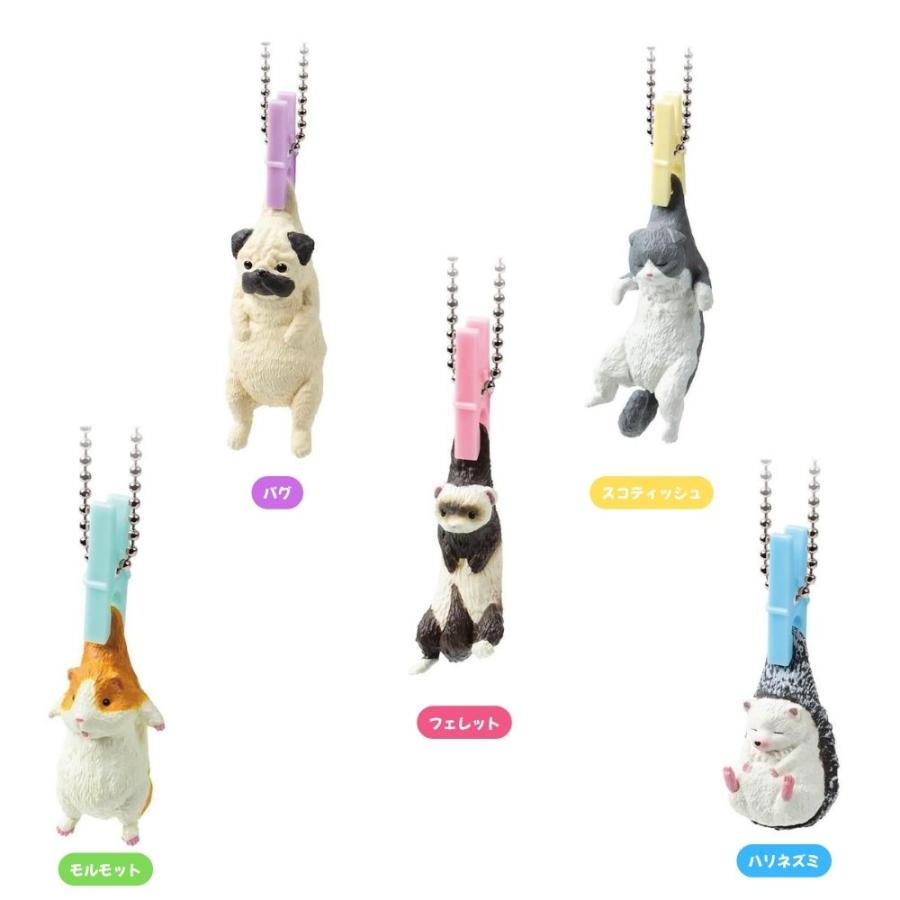 YELL 洗濯日和2 全5種 コンプリートセット 猫 フィギュア ガチャ