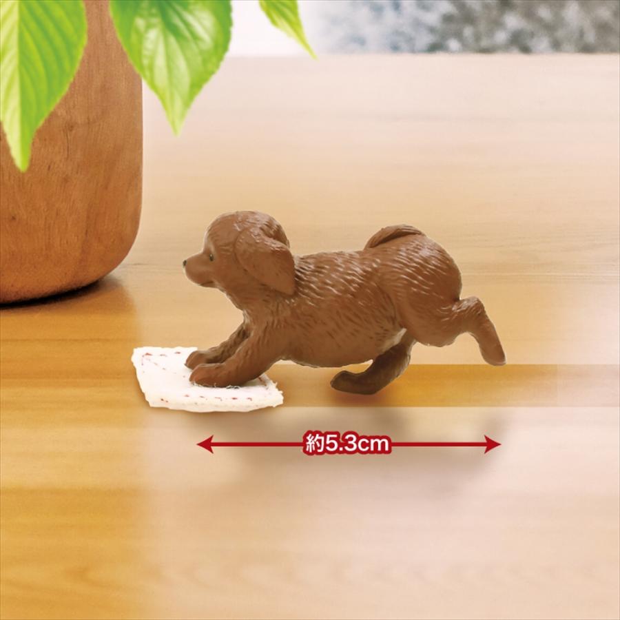 YELL エール ぞうきんがけ当番〜おーるふぉーワン！〜 10個入り 未開封