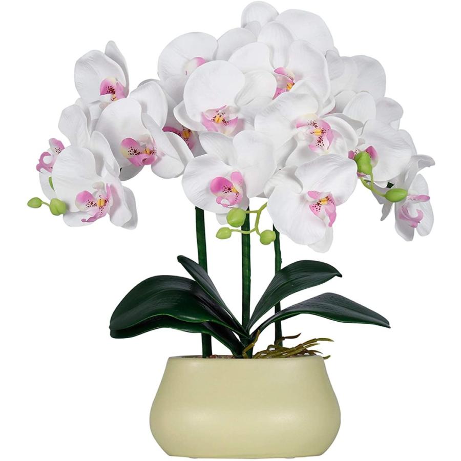 期間限定送料無料 盆提灯 初盆 モダン 仏具 A3771 ルーミールミナス 胡蝶蘭 豪華 コードレス 電池式 お掃除用 毛バタキ付属 仏壇 仏花 贈り物 グランドルミナ Hrkstore 通販 Yahoo ショッピング 内祝い Blog Lonolife Com