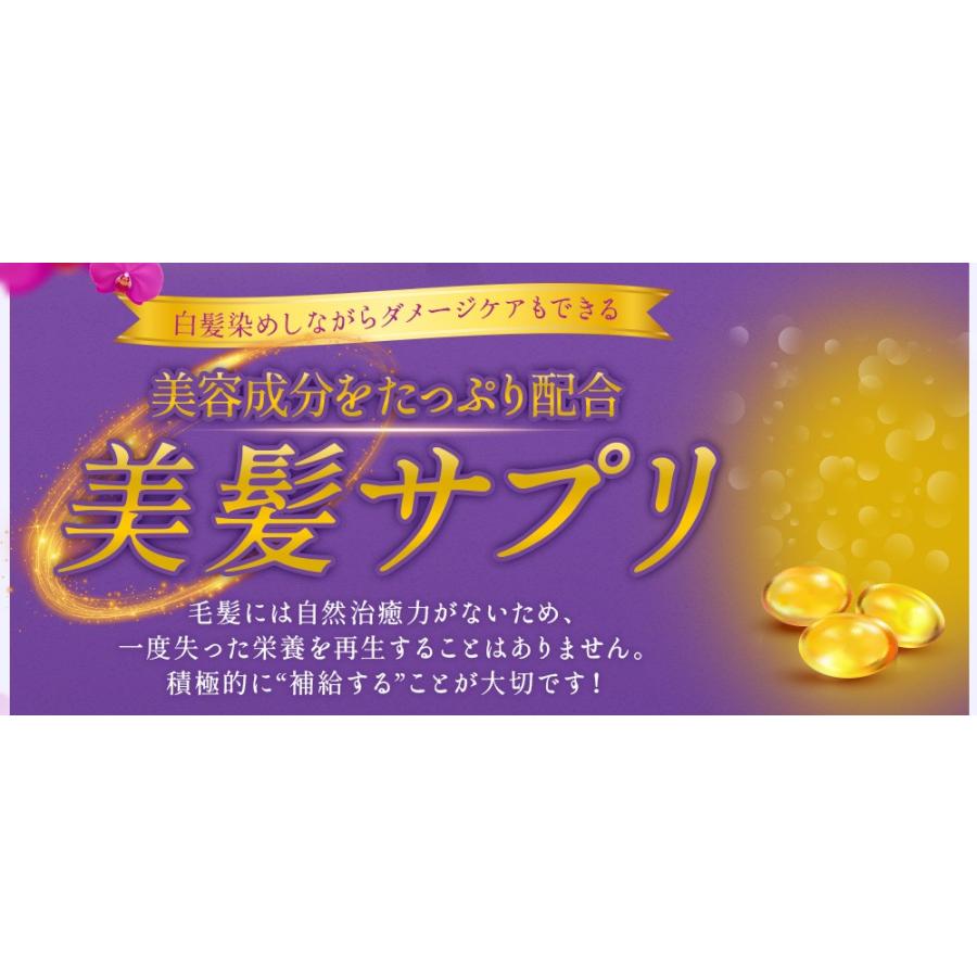 うるプラ美人ヘアカラームース ライトブラウン 1本 80g 白髪染め コラーゲン ノンシリコン ヒアルロン酸 アミノ酸 1651 愛しとーとヤフー店 通販 Yahoo ショッピング