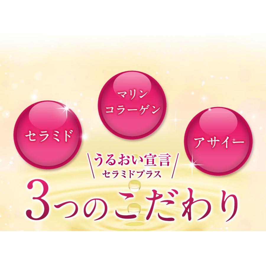 うるおい宣言セラミドプラス アサイー味 (3107) コラーゲン ゼリー