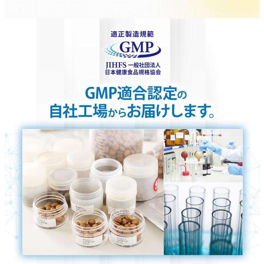 記憶力宣言 1袋 180粒入 サプリ サプリメント 機能性表示食品 記憶力 脳 イチョウ葉 616 愛しとーとヤフー店 通販 Yahoo ショッピング