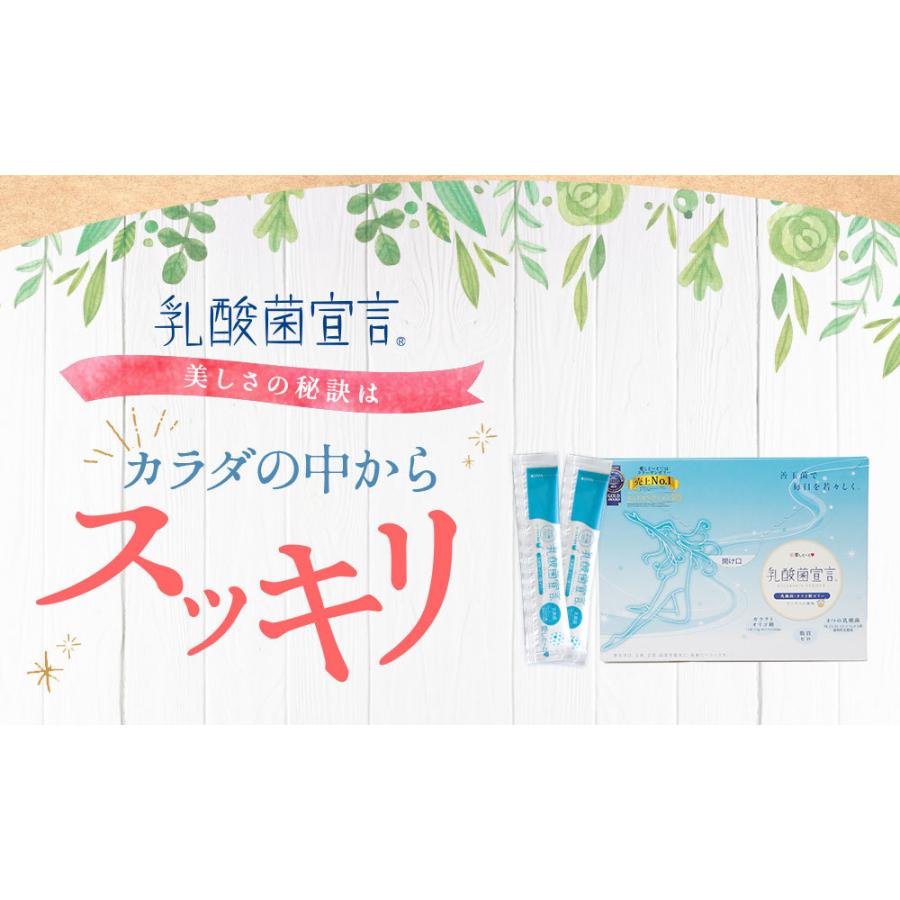 乳酸菌宣言 (3124) 1箱 30本入 約1ヶ月分 ヨーグルト風味