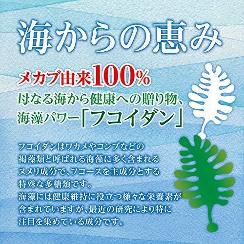 オリヒロ 海からの恵み フコイダン 90粒|hrlucy|02