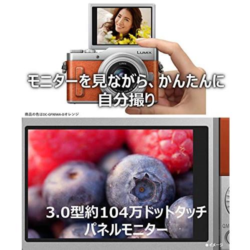パナソニック ミラーレス一眼カメラ ルミックス GF10 ダブルレンズ