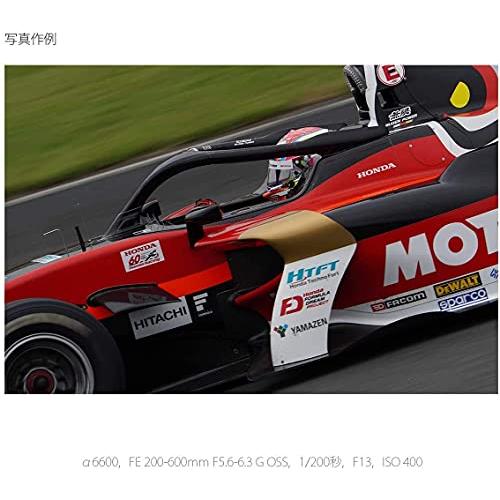 ソニー SONY ミラーレス一眼 α6600M 高倍率ズームレンズキット E 18