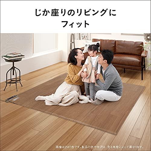 パナソニック ホットカーペット フローリングタイプ ~2畳相当 ブラウン