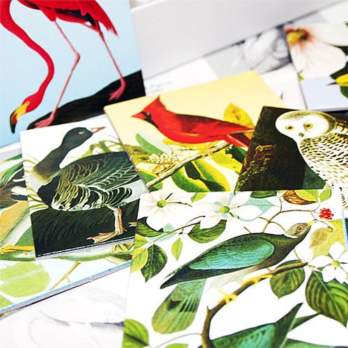 図鑑顔負けのリアルな鳥のイラスト メモゲーム バード G4311 Heritage オンライン 通販 Yahoo ショッピング