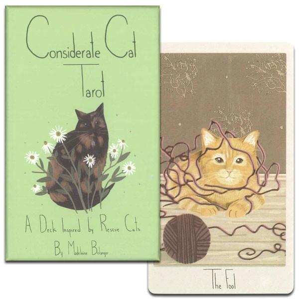 最新の激安 Considerate Cat Tarot コンシダレート キャット タロット 予約販売品 Www Muslimaidusa Org