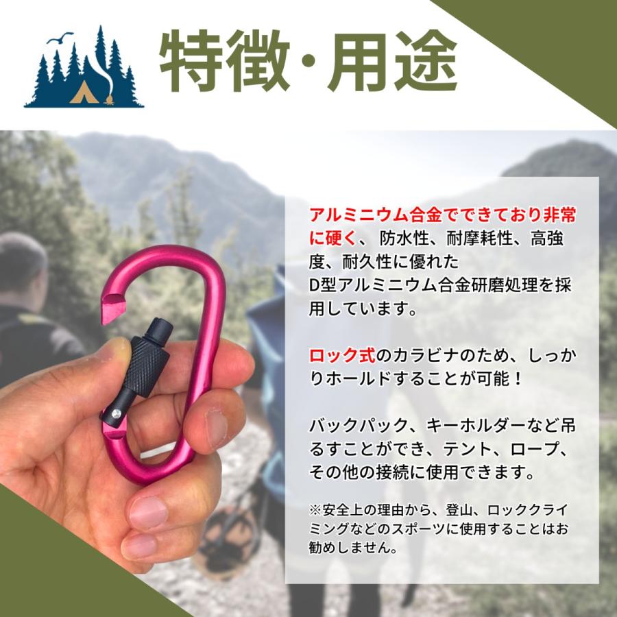カラビナ Dリング D型 ネジロック 赤 3個セット ロック式 キーホルダー