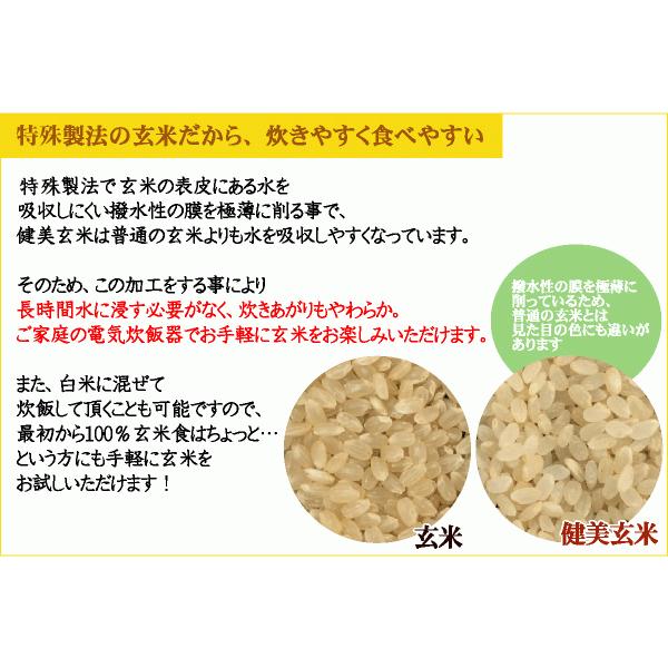 ポイント3倍 玄米 無洗米 からだにやさしい健美玄米 令和5年産 2kg 送料別  (岩手ひとめぼれ 使用) 北海道沖縄へのお届けは送料1520円（SL）｜hseason｜04