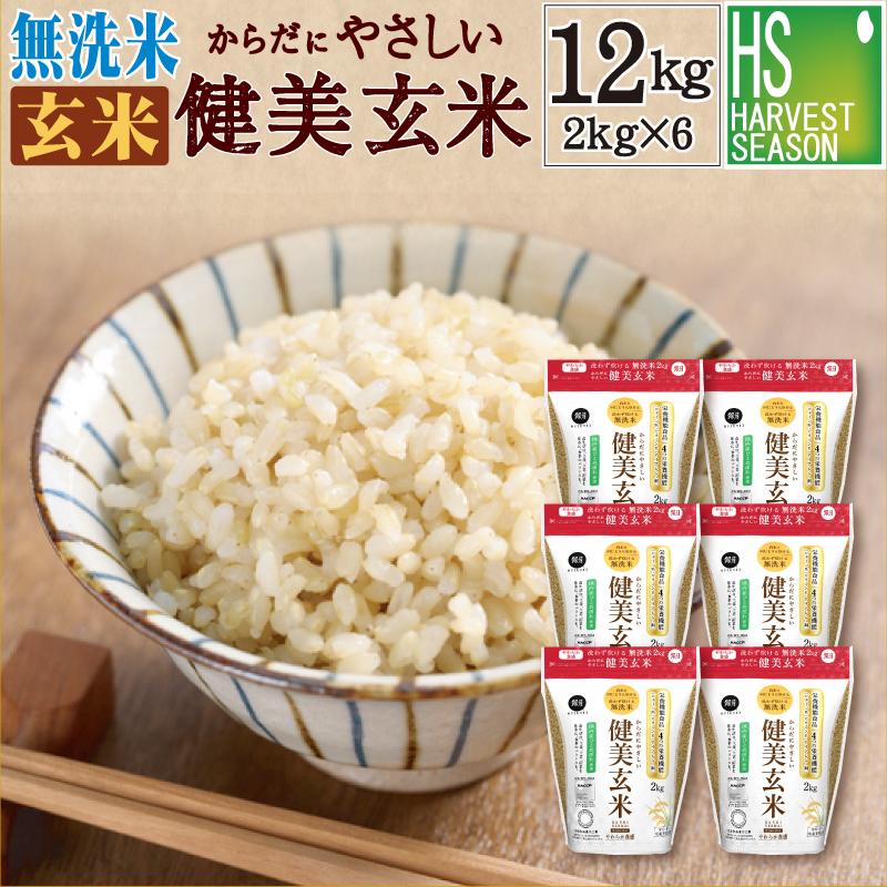 ひとめぼれ 令和7年産 玄米 無洗米 からだにやさしい健美玄米 2kg×6袋