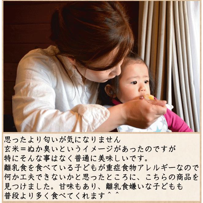 お手軽価格で贈りやすい ポイント5倍 玄米 無洗米 からだにやさしい健美玄米 700g 4袋 送料無料 令和3年産 時短 食べやすい 岩手県産 ひとめぼれ 使用 Sl Riosmauricio Com