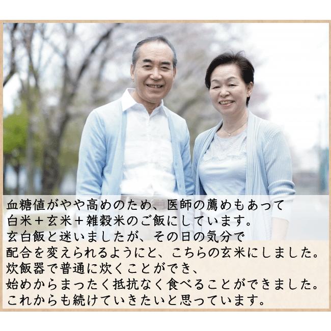 ポイント3倍 玄米 無洗米 からだにやさしい健美玄米 令和5年産 700g 送料別 食べやすい 時短 北海道沖縄へのお届けは送料1520円｜hseason｜08